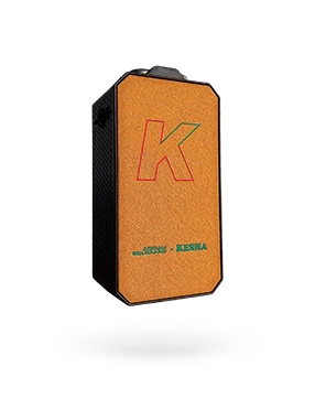 Solgaard x Kesha Joyride Bag - Image 13